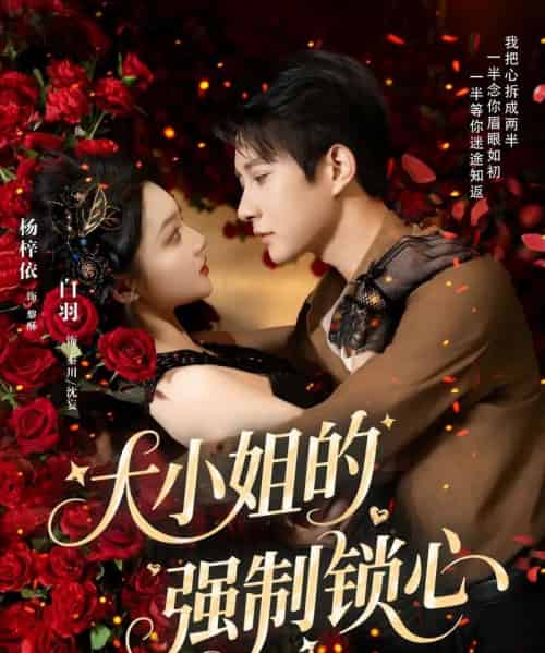 大小姐的强制锁心（80集）白羽＆杨梓依-搜外项目网