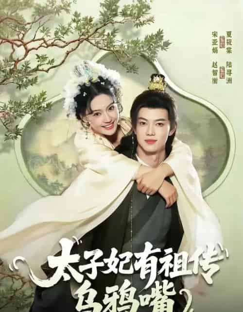 太子妃有祖传乌鸦嘴（73集全）赵智衡＆城城-搜外项目网