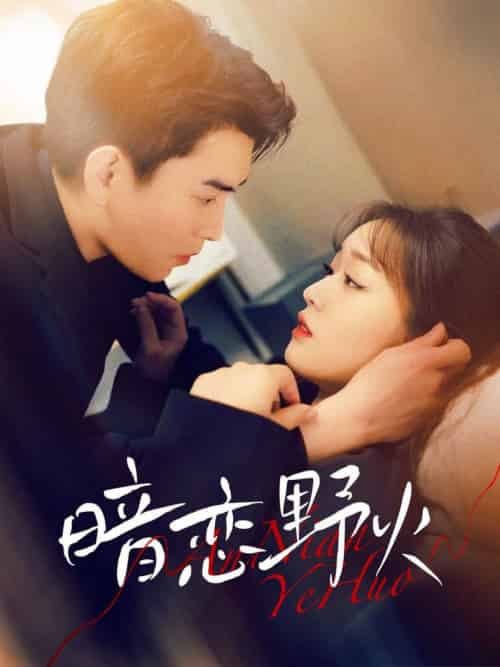 暗恋野火（75集全）石佳＆吴佳璐-搜外项目网