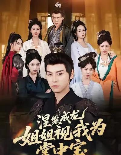 涅槃成龙姐姐视我为掌中宝(65集全)袁志颖&尹月-搜外项目网