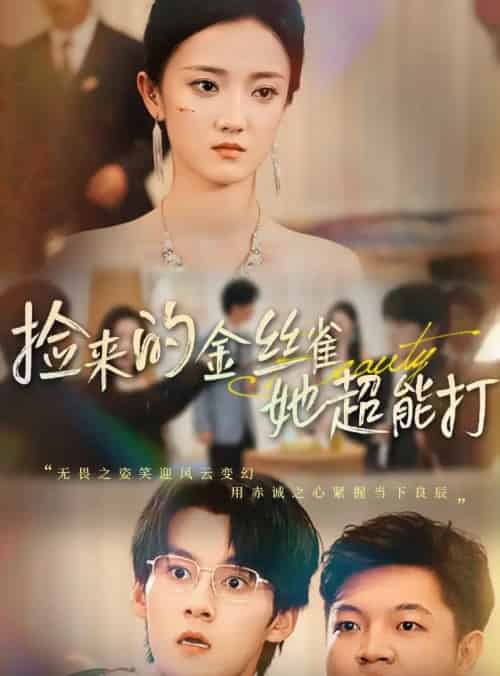 捡来的金丝雀她超能打＆和小娇夫领证后夫人她不装了（65级）余浩明＆刘雨航-搜外项目网