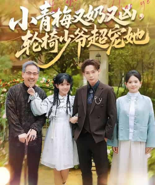 小青梅又奶又凶，轮椅少爷超宠她（90集全）王镱深＆张紫璇-搜外项目网