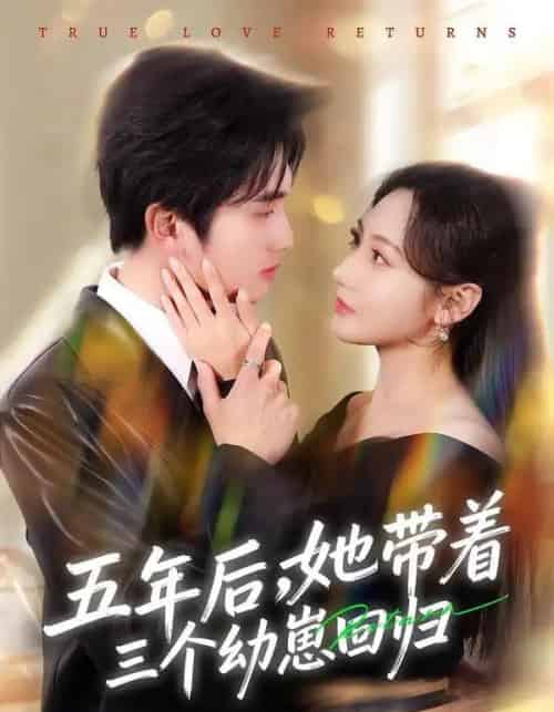 五年后，她带着三个幼崽回归（80集全）李思杨＆景露-搜外项目网