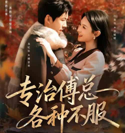 专治傅总各种不服(80集全)龙钇辰&任娄怡-搜外项目网