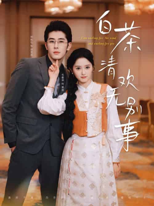 白茶清欢无别事(66集全)毛香淋-搜外项目网