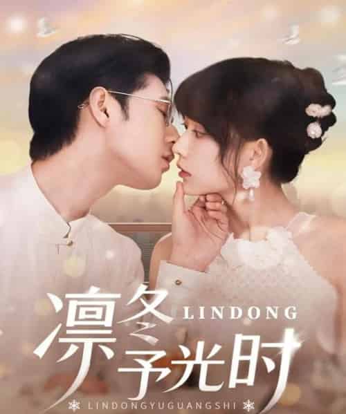 凛冬予光时（60集）李河源＆盛晨-搜外项目网