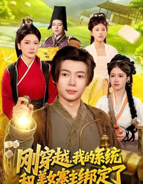 刚穿越，我的系统和美女寨主绑定了（98集全）王镱深＆姜云宁-搜外项目网