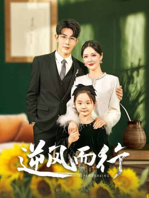 逆风而行（58集全）马星烁＆李明-搜外项目网