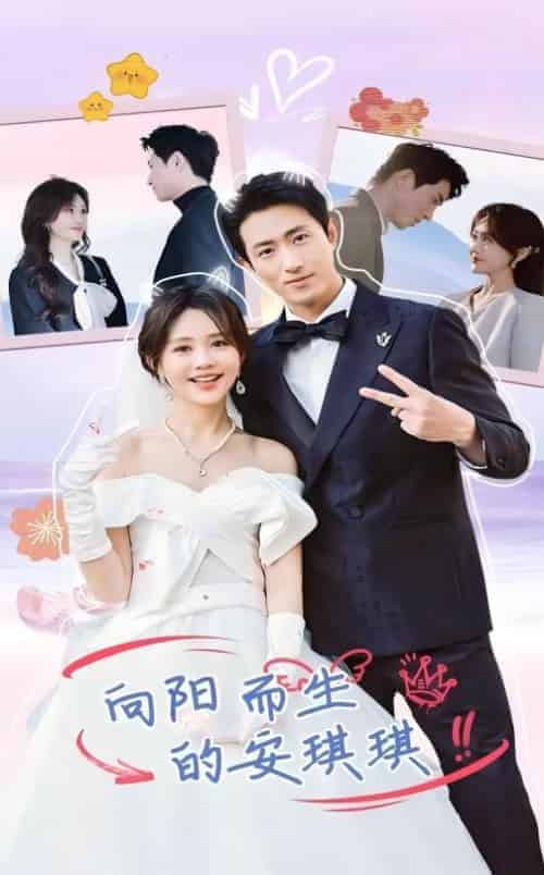 向阳而生的安琪琪(56集全)王凯沐&安琪琪-搜外项目网