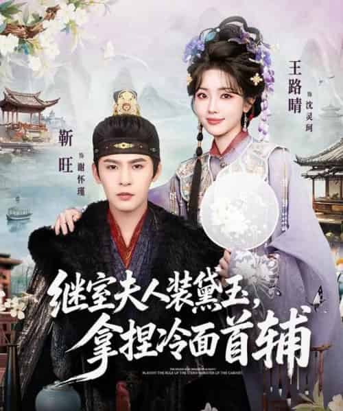 继室夫人装黛玉，拿捏冷面首辅（81集全）靳旺＆王路晴-搜外项目网