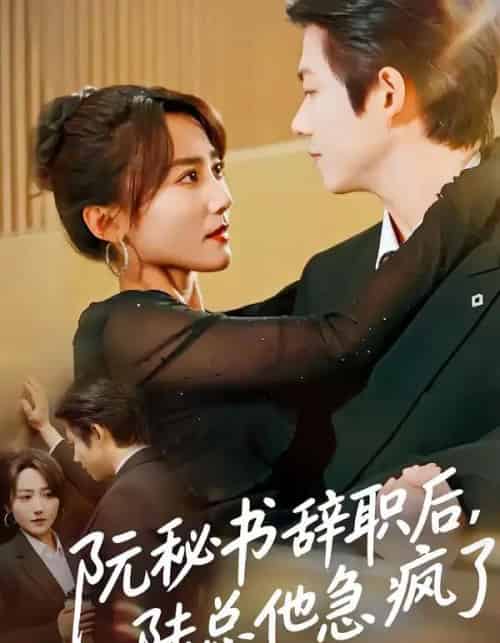 阮秘书辞职后，陆总他急疯了（80集全）闫聪＆王厂-搜外项目网