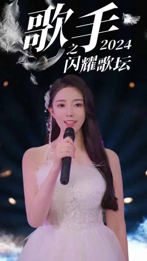 歌手2024之闪耀歌坛（79集）-搜外项目网