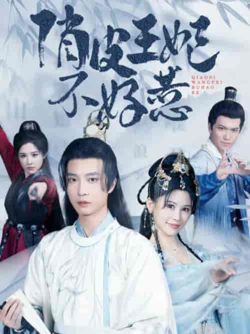 俏皮王妃不好惹(96集)邹漪琳 汪子夕-搜外项目网