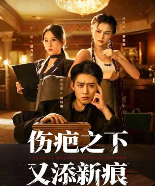 伤疤之下又添新痕(60集全)李世鑫&丁磊-搜外项目网