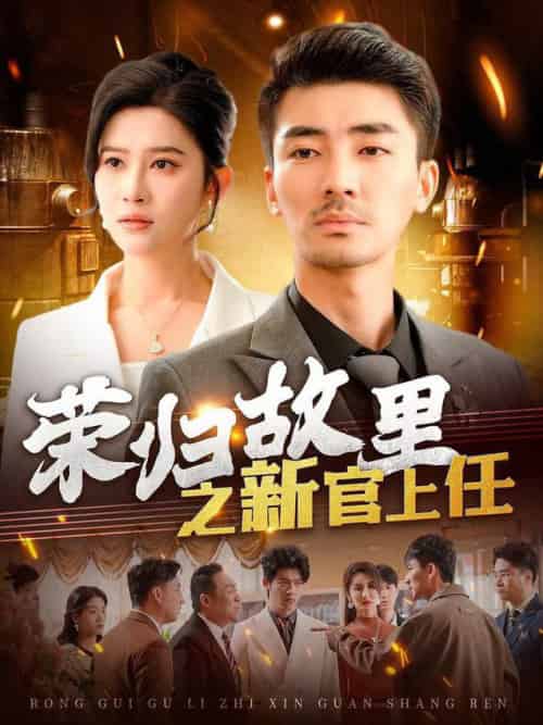 荣归故里之新官上任（100集全）张瀚文＆赵亦菲＆爪爪-搜外项目网