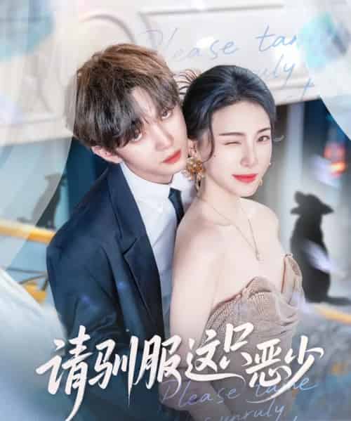 请驯服这只恶少（71集全）叶皓然＆杜雨宸-搜外项目网