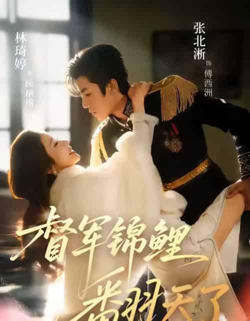 督军锦鲤翻天了（60集全）张北淅＆林琦婷-搜外项目网