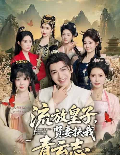 流放皇子，贤妻扶我青云志（76集全）王成＆钱思怡-搜外项目网
