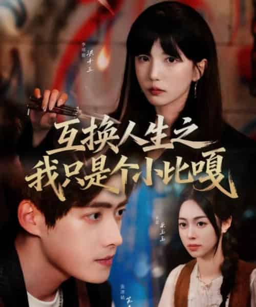 互换人生之我只是个小比嘎（44集全）张津铭＆李颂慈-搜外项目网