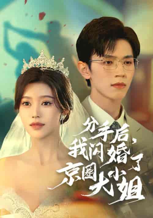 分手后，我闪婚了京圈大小姐（37集全）陆云川＆严梦涵-搜外项目网