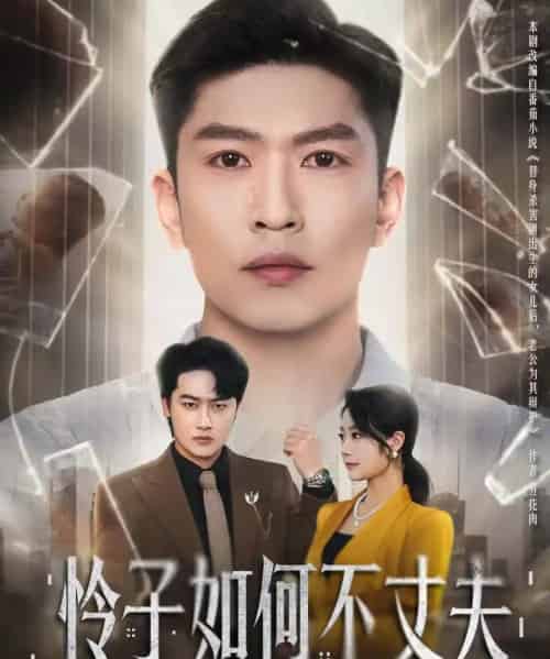 怜子如何不丈夫（60集全）孙思凡＆浅柔-搜外项目网