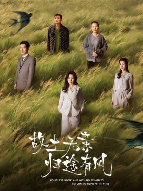 故土无亲归途有风（31集全）孙同钰-搜外项目网