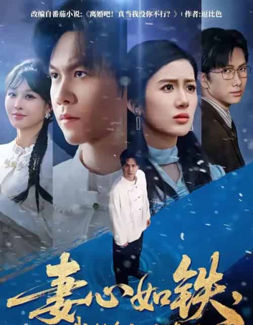 妻心如铁，我转身离婚修仙（81集全）陈景霖＆陈丹-搜外项目网