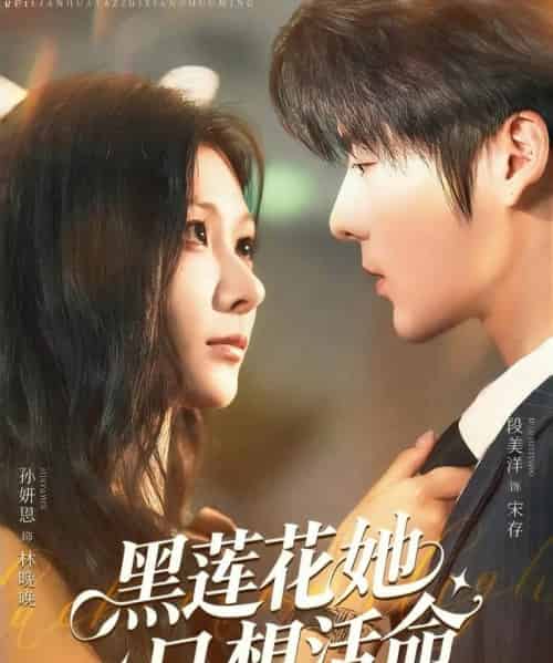 黑莲花她只想活命(60集)段美洋&孙妍恩-搜外项目网