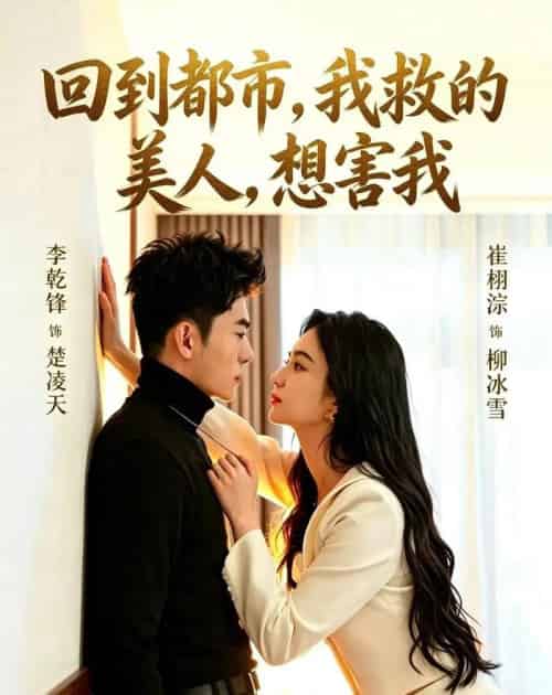 回到都市,我救的美人,想害我(97集全)李乾锋&崔栩淙-搜外项目网