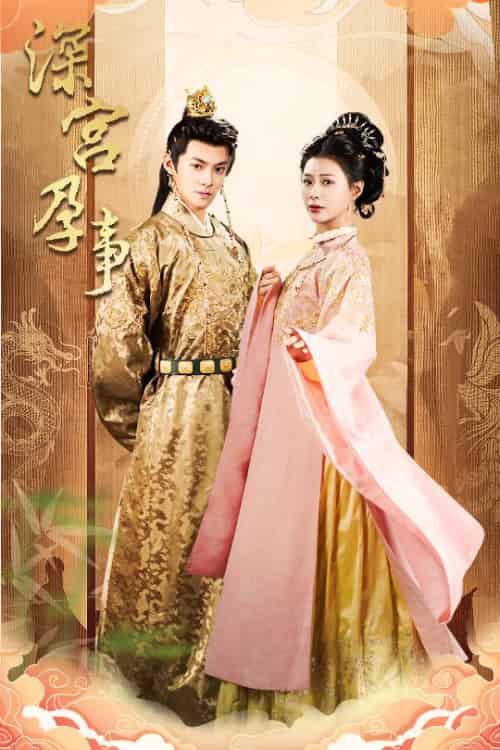 深宫孕事&掌心娇(30集)吕岳&杨谨羽-搜外项目网