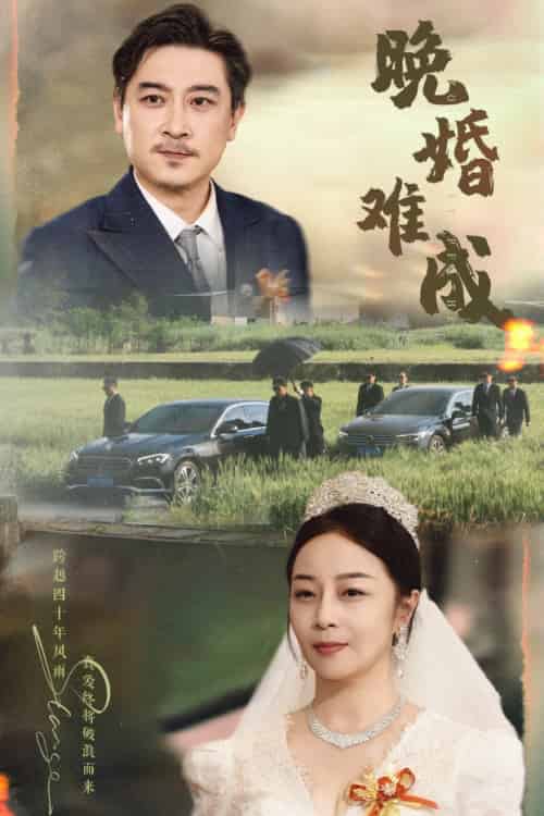 《晚婚难成》全集剧情介绍 - 搜外短剧