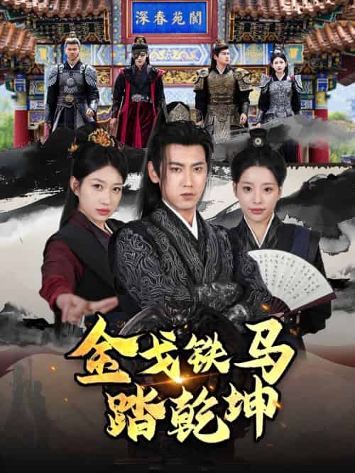 金戈铁马踏乾坤＆铁骑踏破长安花＆和离后：将军马甲掉了（88集）刘昱宁-搜外项目网