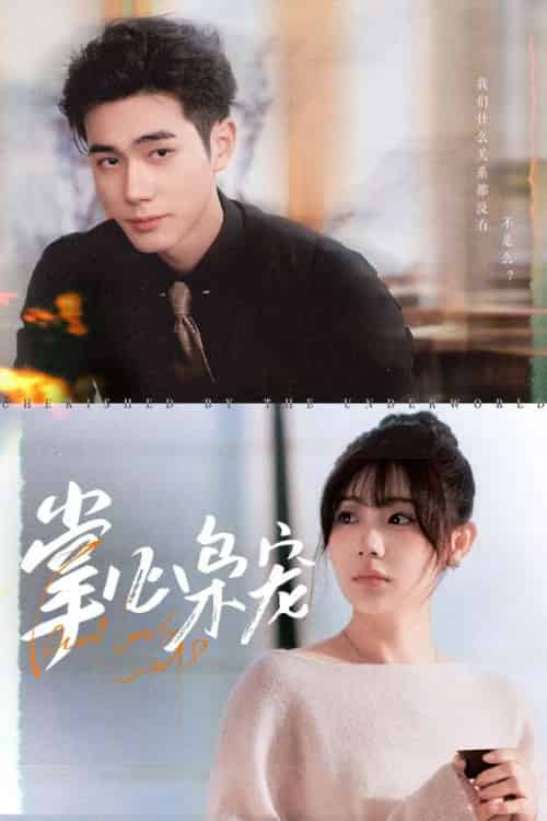 掌心枭宠（100集）李铂一＆田园-搜外项目网