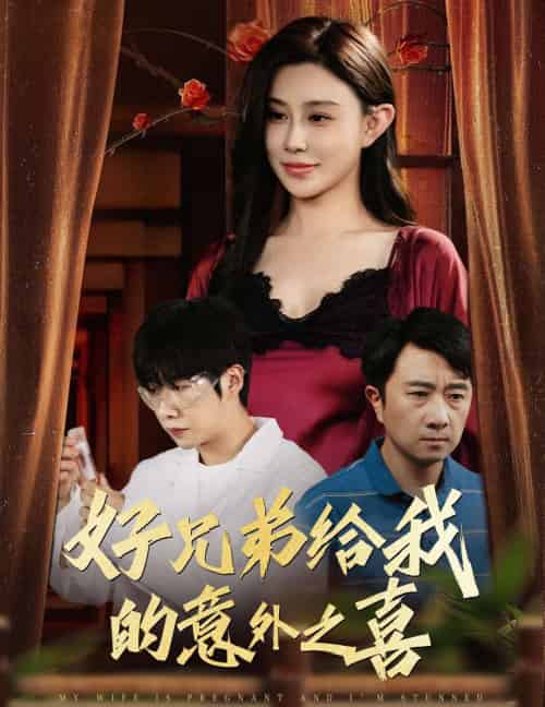 好兄弟给我的意外之喜＆妻子有喜后我懵了（57集）安超＆陈旭-搜外项目网