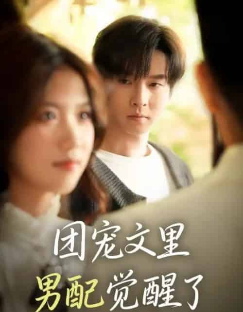 团宠文里男配觉醒了＆觉醒！男配不想当炮灰了（77集全）邓嘉伦＆高洁慧-搜外项目网