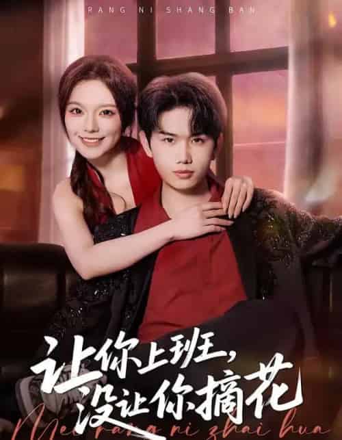 让你上班，没让你摘花（70集全）王凯波＆王若妍＆陈有晴-搜外项目网