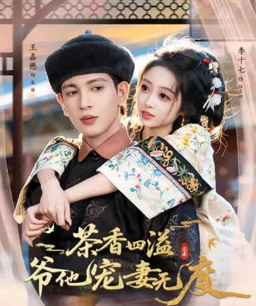茶香四溢，爷他宠妻无度（83集全）王嘉懋＆李十七-搜外项目网