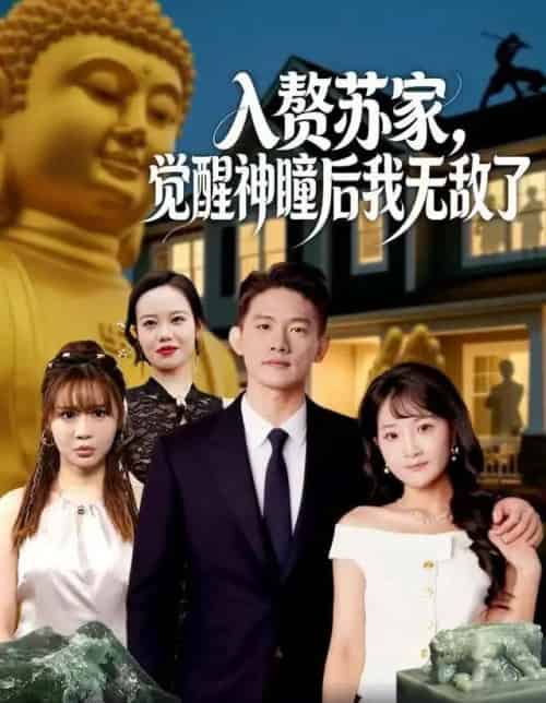 入赘苏家，觉醒神瞳后我无敌了（80集全）梁溪＆朱信宗-搜外项目网