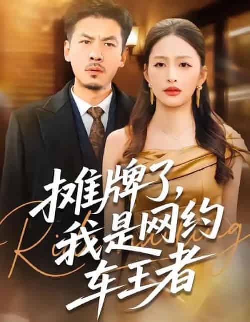 摊牌了，我是网约车王者（75集全）黄斯琪＆王辉-搜外项目网