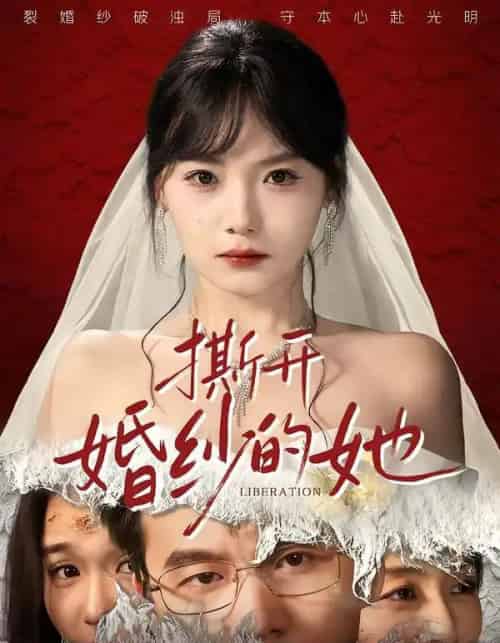 撕开婚纱的她(50集全)王一淼&黄小再-搜外项目网