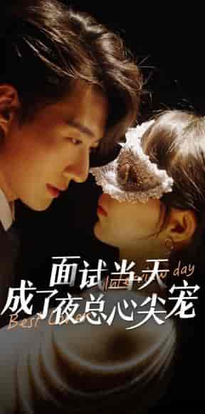 面试当天成了夜总心尖宠（87集）斯佳丽＆柒柒-搜外项目网