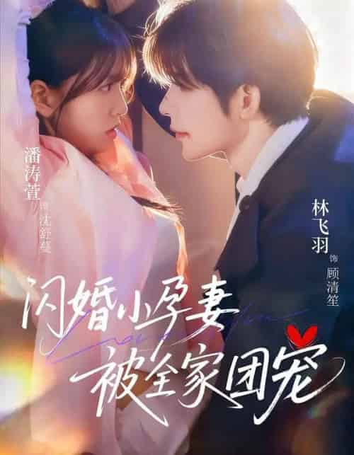 闪婚小孕妻被全家团宠（59集全）林飞羽＆潘涛萱 - 搜外短剧