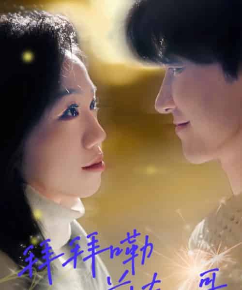 拜拜嘞前夫哥（93集）姜力元＆崔旭宇-搜外项目网