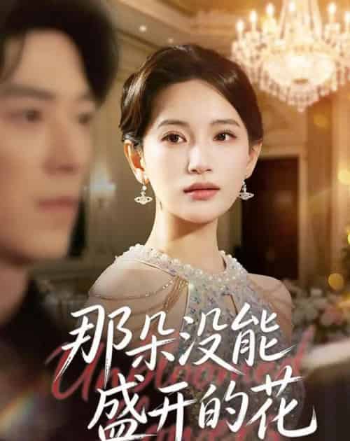 那朵没能盛开的花(71集全)李雪莹&翟中星-搜外项目网