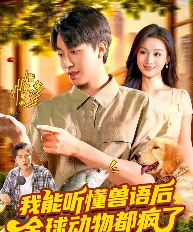 我能听懂兽语后全球动物都疯了(105集全)董兆霖&理艺如-搜外项目网