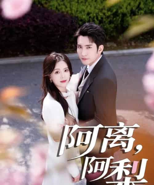 阿离阿梨(60集)王已歌&唐敬-搜外项目网
