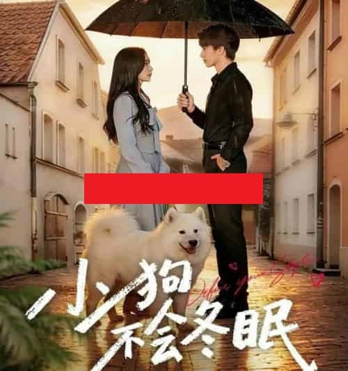小狗不会冬眠（70集全）张皓文＆乔槿-搜外项目网