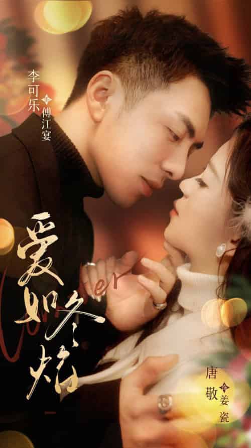 爱如冬焰＆爱如冬日焰火（71集全）李可乐＆唐敬-搜外项目网