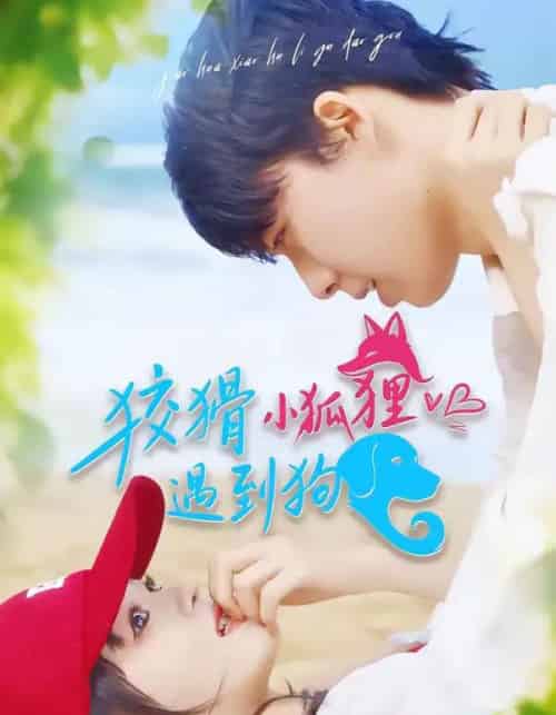 狡猾小狐狸遇到狗（80集全）刘成林＆彭洋洋-搜外项目网