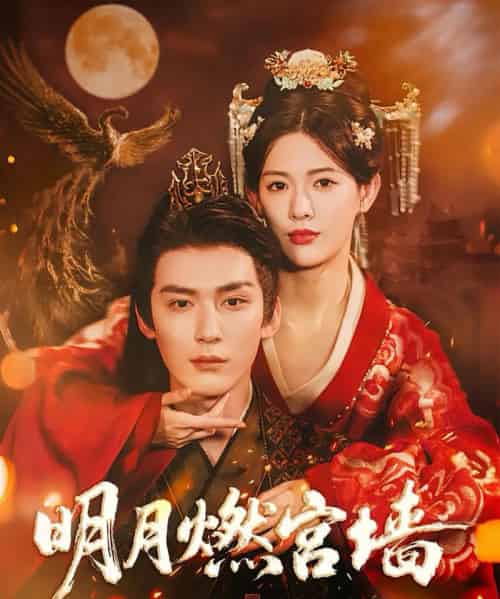 明月燃宫墙(60集全)常喆宽&姜钰佳-搜外项目网